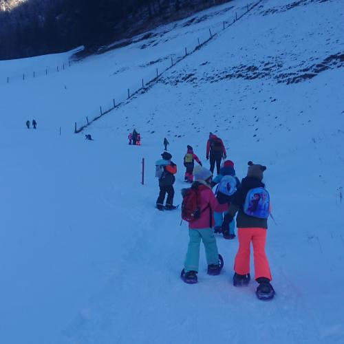 Tierspuren 1. Klasse