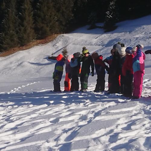 Tierspuren 1. Klasse