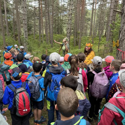 Bergwaldfest 2024