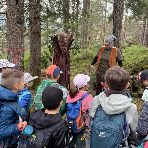 Bergwaldfest 2024