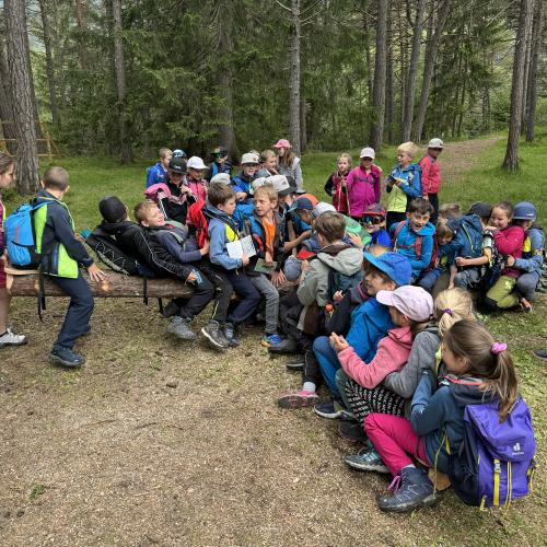 Bergwaldfest 2024