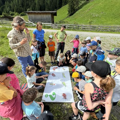 Wiese bunte Wiese 24 - 1./2. Klasse