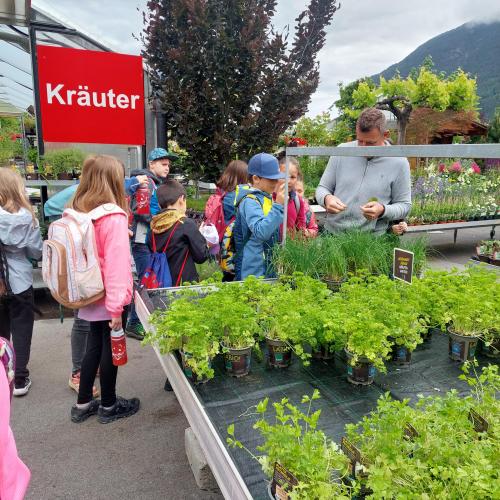 Schule in der Gärtnerei
