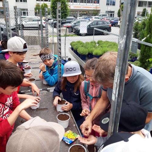 Schule in der Gärtnerei