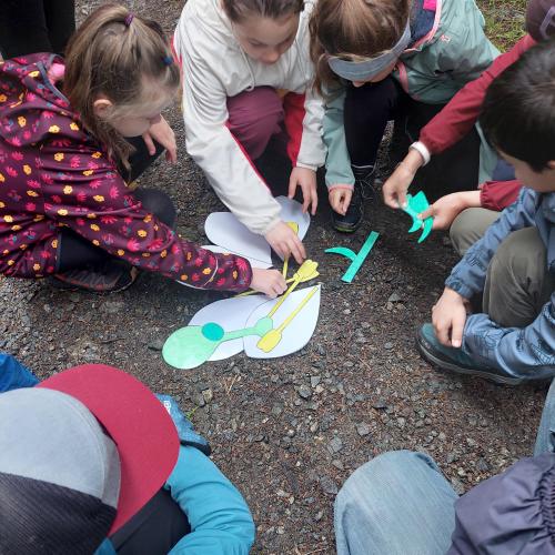 Wiese bunte Wiese 24 - 3./4. Klasse
