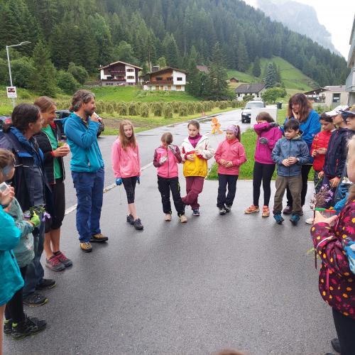 Wiese bunte Wiese 24 - 3./4. Klasse