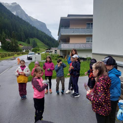 Wiese bunte Wiese 24 - 3./4. Klasse
