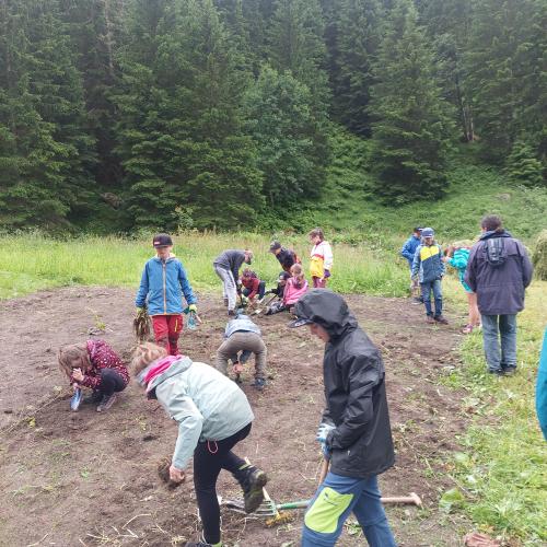 Wiese bunte Wiese 24 - 3./4. Klasse