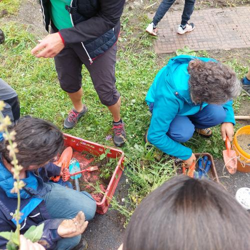 Wiese bunte Wiese 24 - 3./4. Klasse