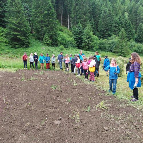 Wiese bunte Wiese 24 - 3./4. Klasse