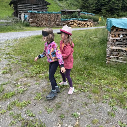 Wiese bunte Wiese 24 - 1./2. Klasse