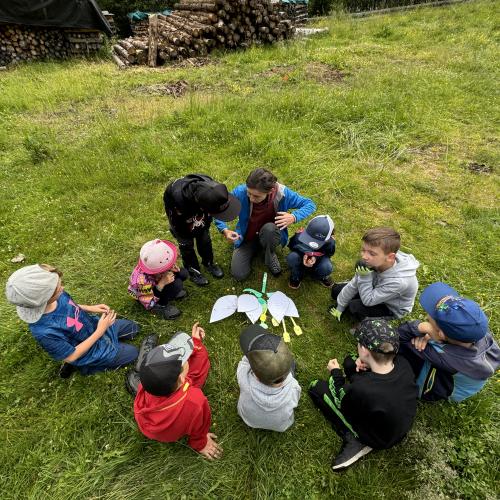Wiese bunte Wiese 24 - 1./2. Klasse