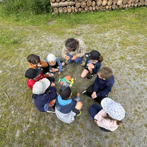 Wiese bunte Wiese 24 - 1./2. Klasse