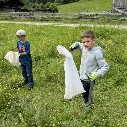 Wiese bunte Wiese 24 - 1./2. Klasse