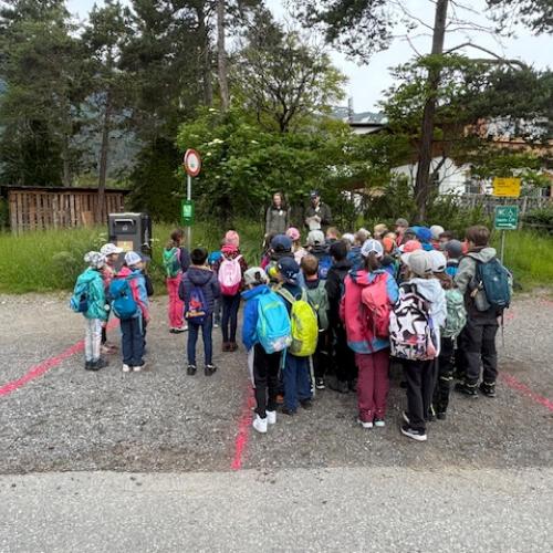 Bergwaldfest 2024