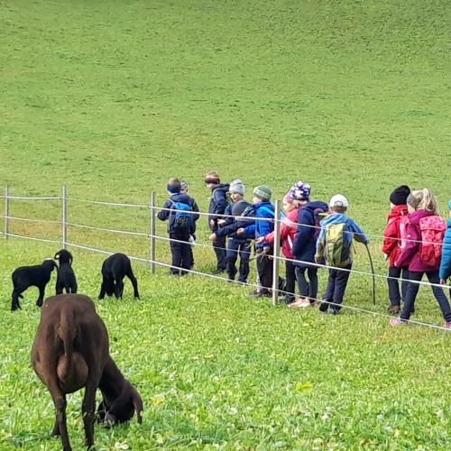 Wandertag Bichl Sept. 24