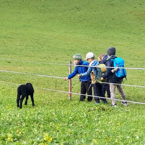 Wandertag Bichl Sept. 24