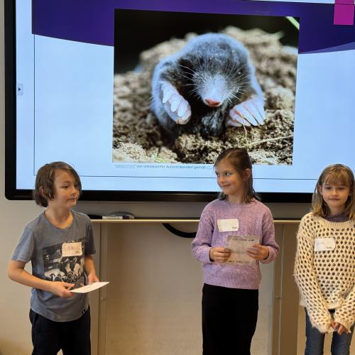Referat-Coaching 24