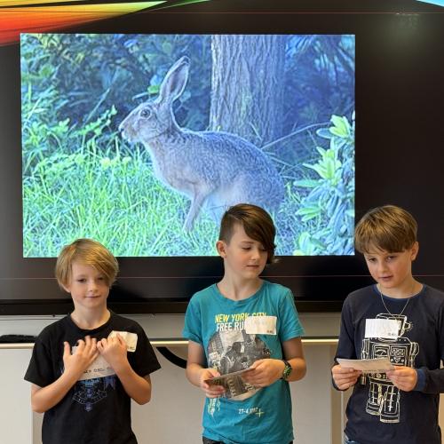 Referat-Coaching 24