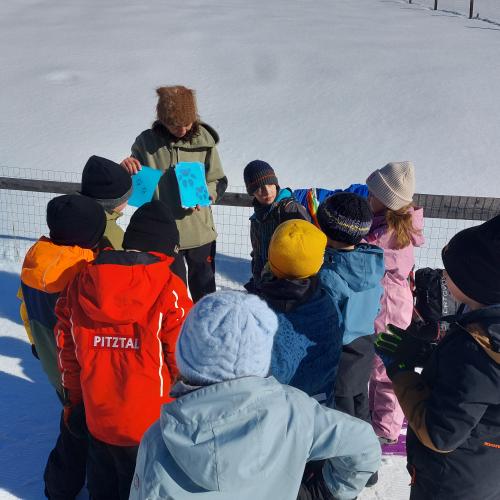 Tierspuren im Schnee 2025