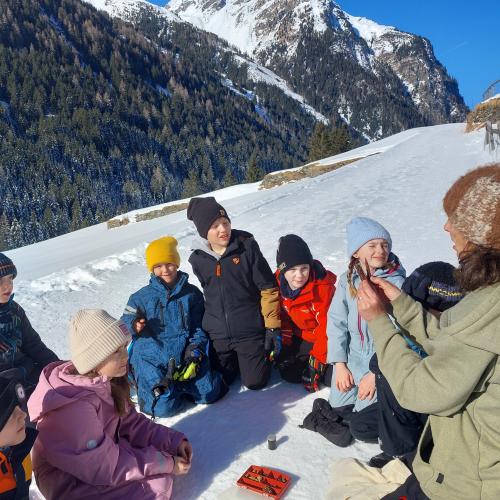Tierspuren im Schnee 2025