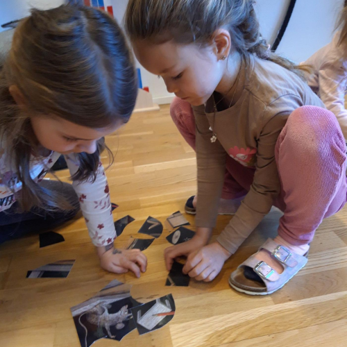 Bilderbuchkino Pippilothek 2025