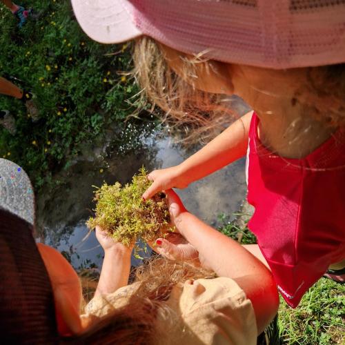 WasserWunderWelt 2025