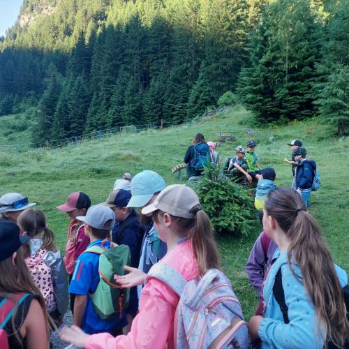 Wandertag Stillebach 2025