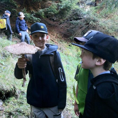 Wandertag 1. und 3. Klasse 2526