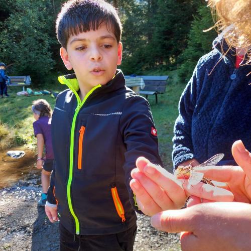 Wandertag 1. und 3. Klasse 2526