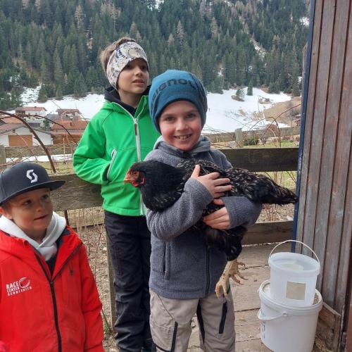 Besuche am Bauernhof