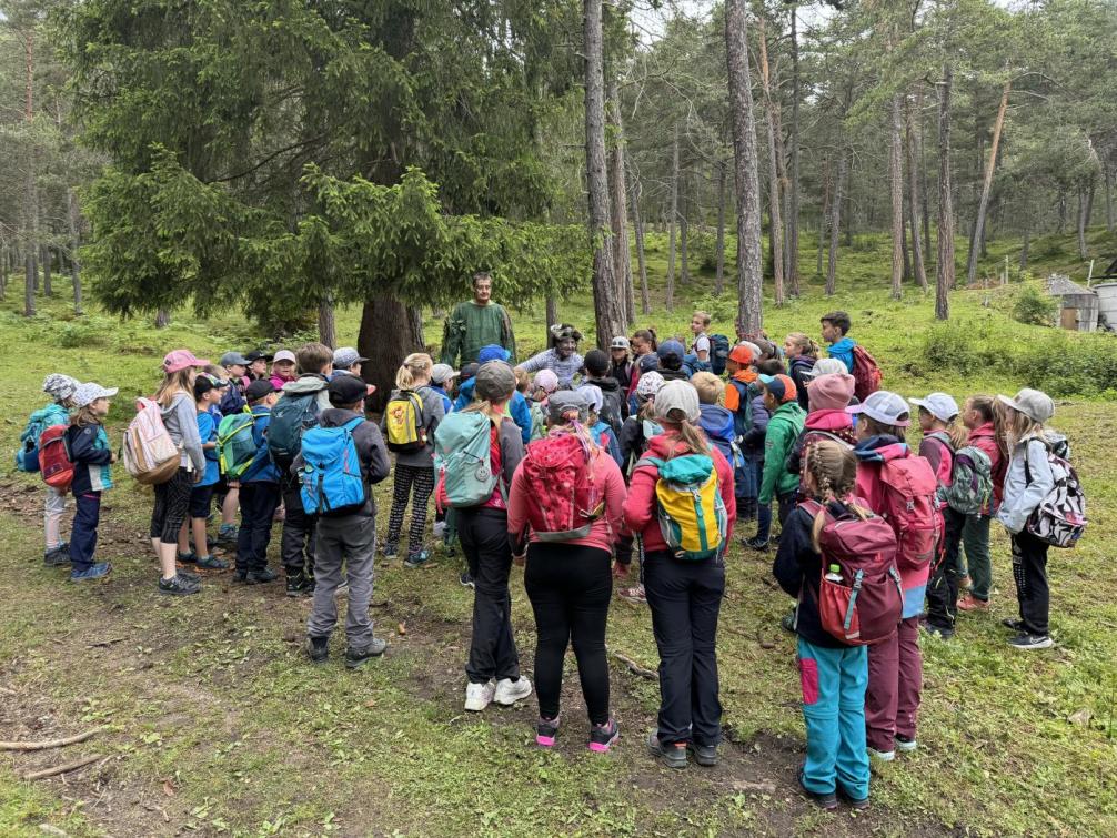 Bergwaldfest Hoch-Imst 2024