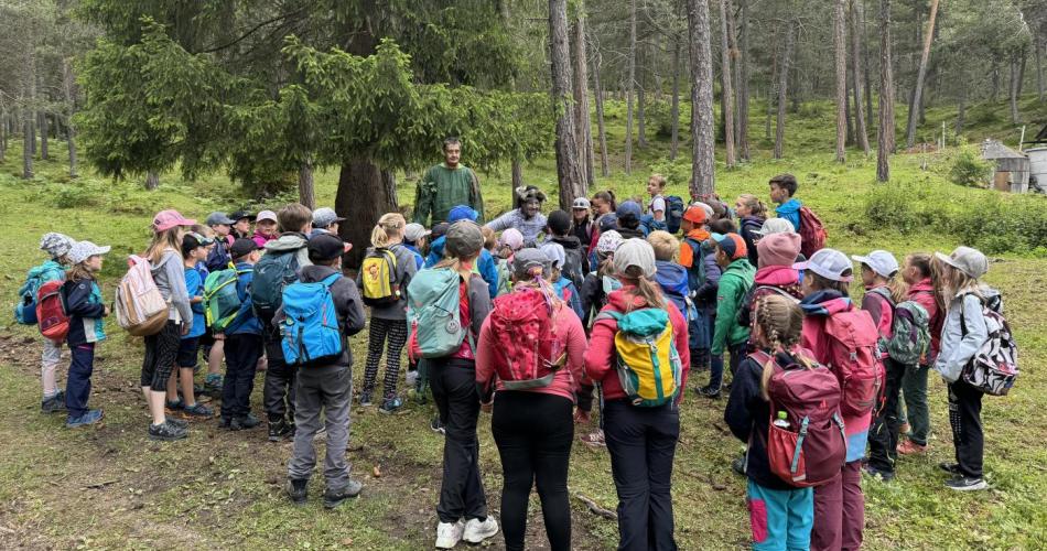 Bergwaldfest Hoch-Imst 2024